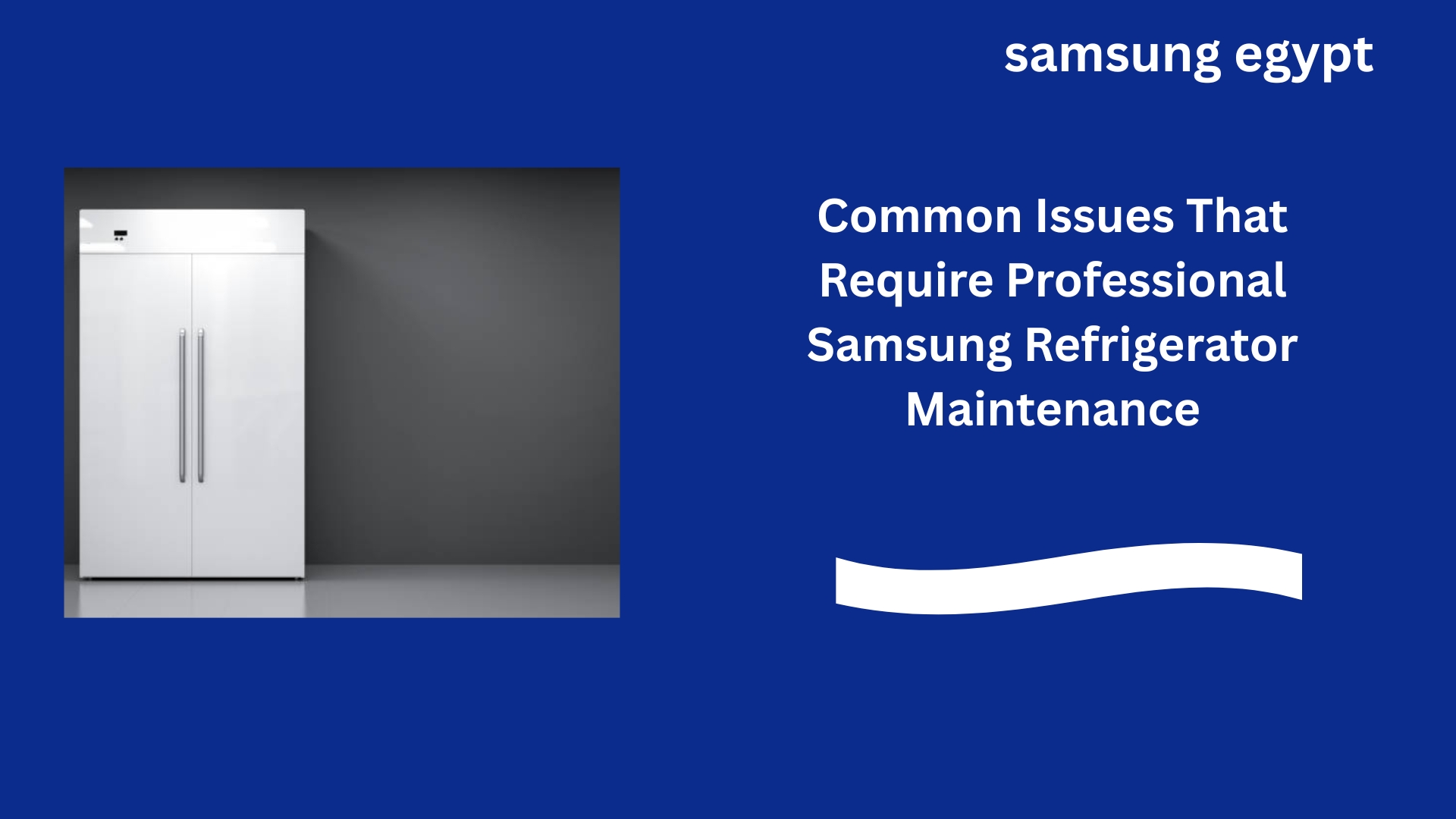 Common Issues That Require Professional Samsung Refrigerator Maintenance